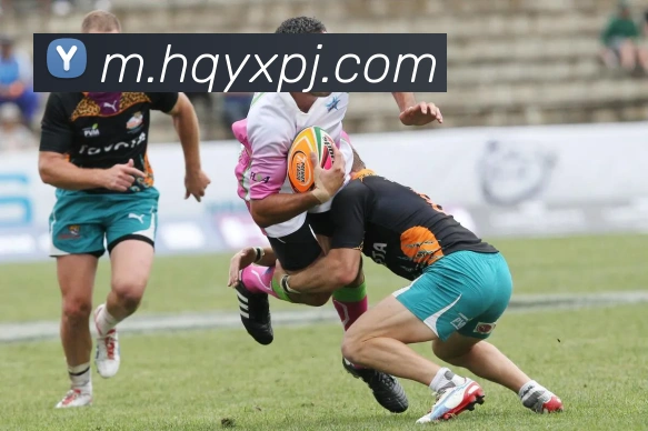 新葡京娱乐城品牌故事