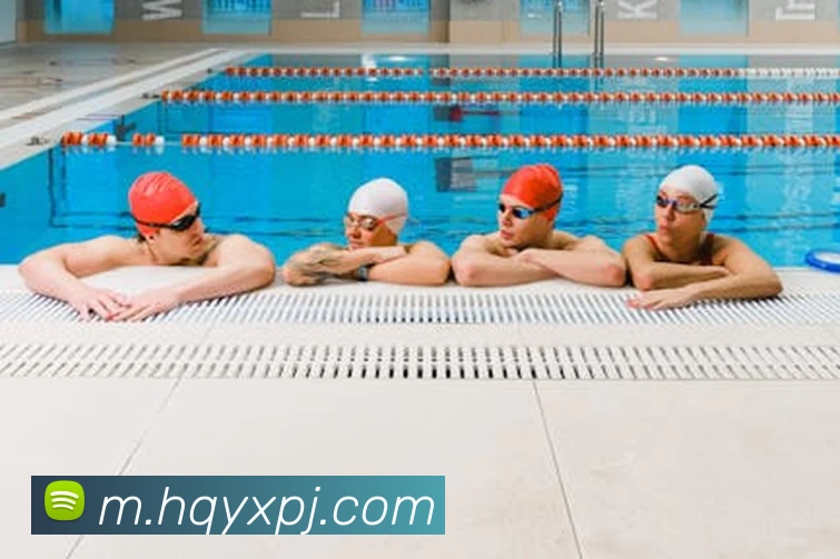 新葡京娱乐城服务体系