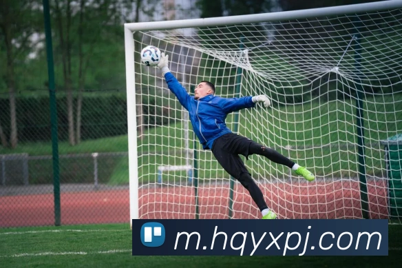 新葡京娱乐城APP 体育赛事宣传图